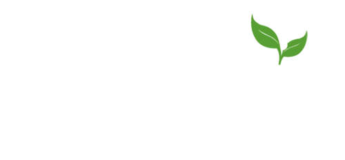 Essedi